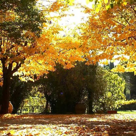 Valle Degli Arci Castel Madama